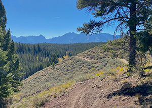 Casino Trail Map Thumbnail 300x214